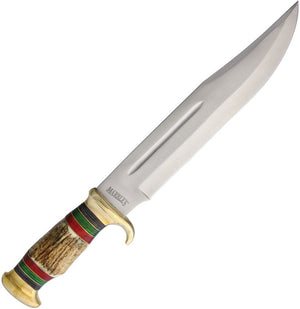Bowie Stag
